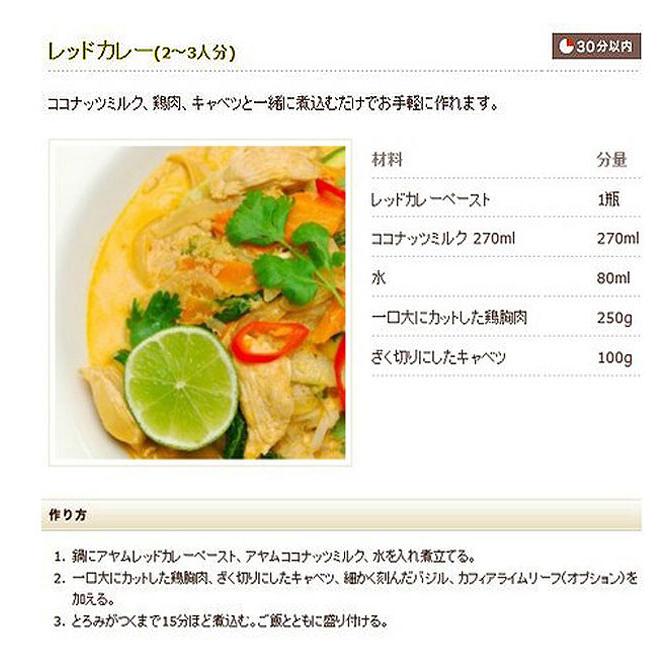 タイカレー AYAM 料理の素 レッドカレー ココナッツ ペースト Thai Red Curry Paste (AYAM) マレーシア BBQ 食品