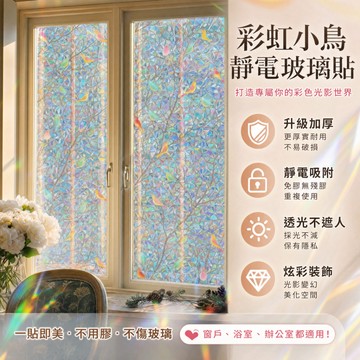 隔日達🏠窗戶玻璃貼 彩虹小鳥玻璃窗貼 防窺窗貼 靜電貼 玻璃貼紙 窗戶防窺 靜電玻璃貼 玻璃窗貼 窗貼 玻璃靜電貼