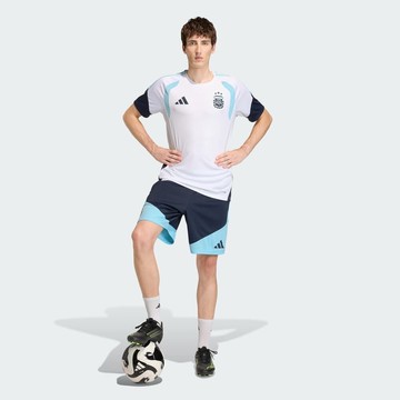 ARGENTINA 26 TIRO TRAINING SHORTS