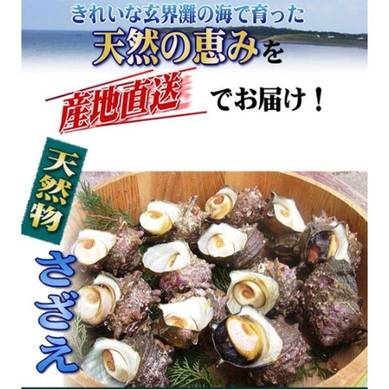 玄界灘 壱岐産 天然サザエ 10kg クール冷蔵便 壱岐直送