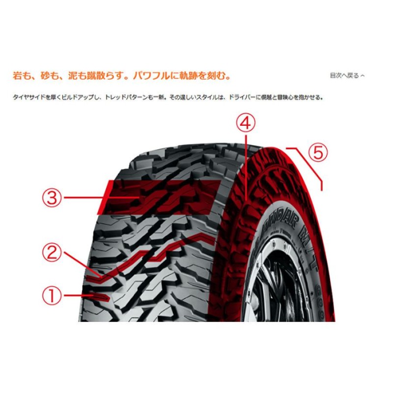 RAYS TEAM DAYTONA ヨコハマ　ジオランダー