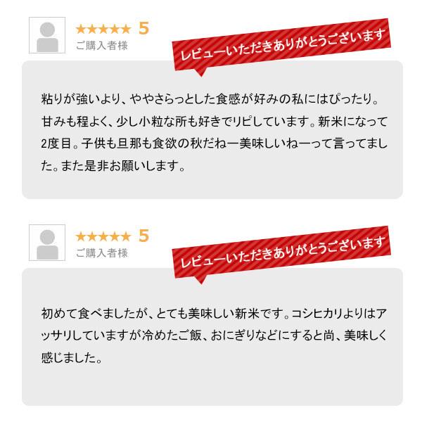 新米 5kg 新潟産こしいぶき お米 5キロ 令和5年産 精米 白米