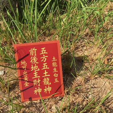 明信片 | #17 神主牌