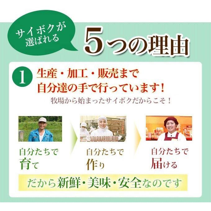 ギフト 内祝い お歳暮 御歳暮 詰め合わせ 肉 送料無料 通販限定 おうちグルメセット 豚肉 ウインナー 国産 贈り物 贈答品 お取り寄せグルメ お礼