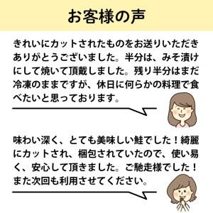 ふるさと納税 秋鮭 切り身 18切れ サケ 無塩鮭 三陸産 鮭 冷凍鮭 秋鮭 切り身鮭 鮭 無塩鮭 冷凍 人気 三陸産 鮭 冷凍鮭 秋鮭 切り身鮭 鮭 岩手県大船渡市