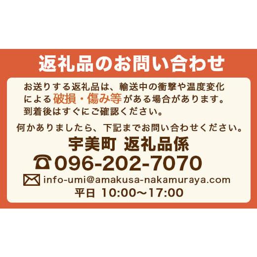 ふるさと納税 福岡県 宇美町 福岡県産 あまおうG以上（4パック） 定期便3回  合計3000ｇ 先行予約 2024年1月・2月・3月発送予定　TY034