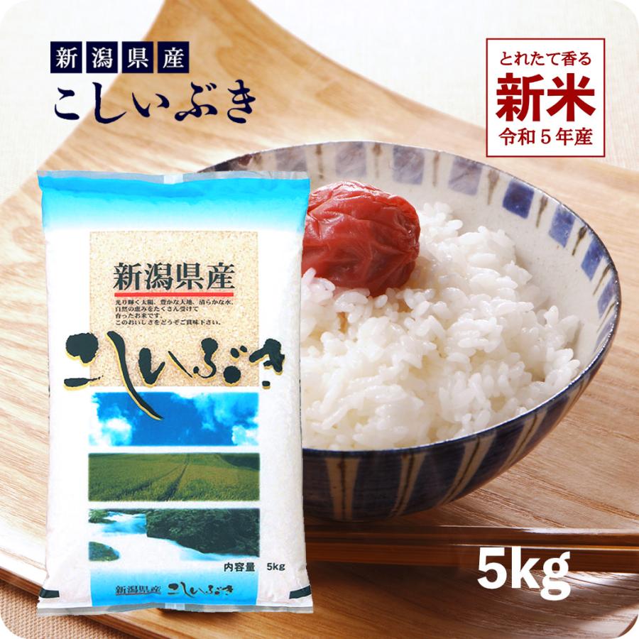 新米 5kg 新潟産こしいぶき お米 5キロ 令和5年産 精米 白米