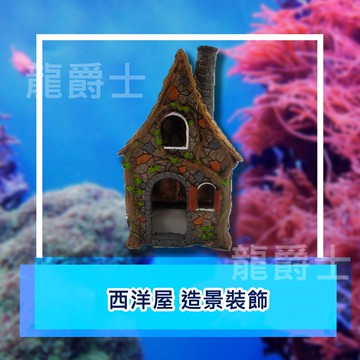 ✨現貨✨[龍爵士水族]西洋屋 造景裝飾   裝飾品 造景 擺飾 飾品 擺件 魚缸造景 魚缸擺飾 魚躲藏  Z11