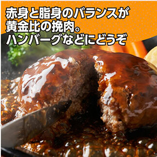 なはりゆず豚挽き肉 5kg 500g×10パック ひき肉 挽き肉 豚肉 国産 ゆず豚 高知県産 肉 おにく 冷凍 小分けパック 個包装 そぼろ ハンバーグ おうちごはん 一人暮らし 28000円