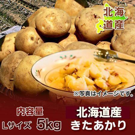 じゃがいも 北海道 きたあかり 送料無料 北海道産 じゃがいも 北あかり 5kg Lサイズ 黄色いじゃがいも 栗じゃが 野菜 じゃがいも 北あかり キタアカリ