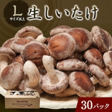 生しいたけ(パック)30P箱入り