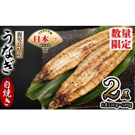 ふるさと納税 鹿児島県産 伊崎田のうなぎ白焼き ＜120g以上＞× 2尾(計240g以上) a4-022 鹿児島県志布志市