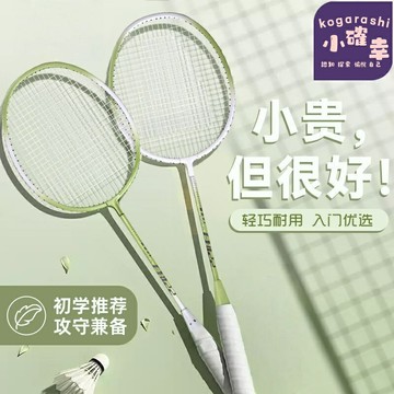 【輕盈耐打】羽毛球拍 雙拍套裝 成人球拍 高彈羽拍 訓練球拍 專業球拍 碳素複合材質 防震手柄 禮盒包裝 運動健身 比賽訓練