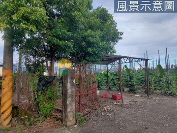 獨賣出價談潮州漂亮農地.臨路有水電｜屏東縣潮州鎮興美段