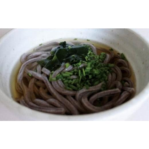 ふるさと納税 滋賀県 甲賀市 冷凍黒影米うどん20食（つゆ無）