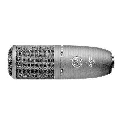 AKG（アーカーゲー） ラージダイアフラム/コンデンサーマイク P120 コンデンサーマイク