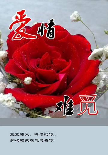 【電子書】爱情难觅