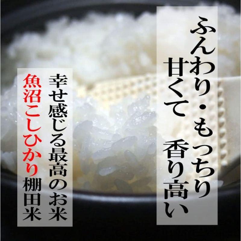 魚沼コシヒカリ 白米5kg 令和4年度産新潟産 こしひかり 棚田米 特別栽培 甘くてツヤツヤ 各種ギフト お中元 敬老の日 お歳暮