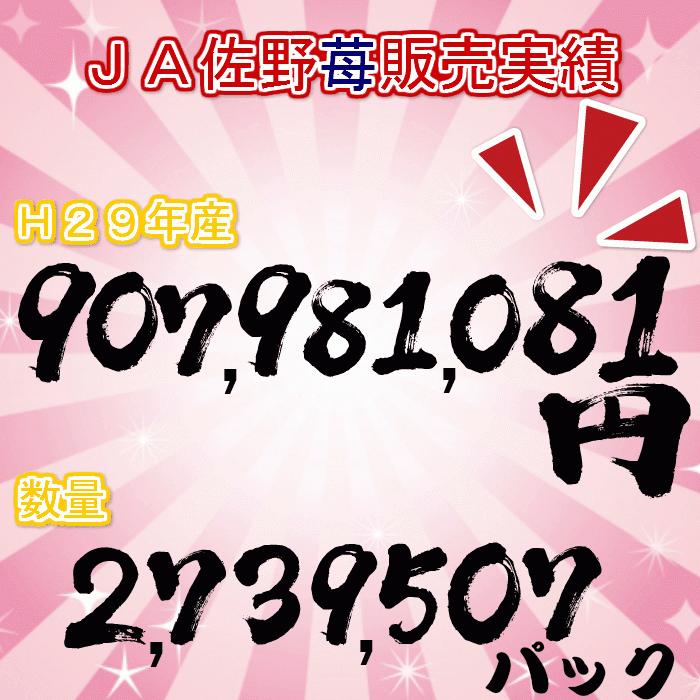 イチゴ いちご スカイベリー 配送日時指定不可 栃木県産 ２パックセット  熨斗対応 クール送料無料 冷蔵便 スカイ2P