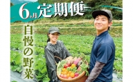 新鮮野菜BOX定期便・偶数月にお届け(6カ月便）8～12種