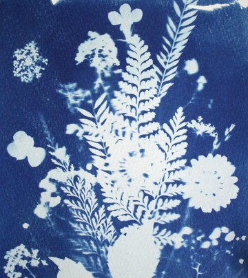 藍晒-flora-3097