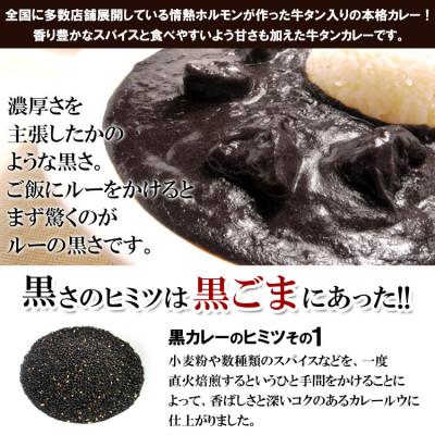 ふるさと納税 泉南市 ●牛タン黒カレー(200g×16パック)