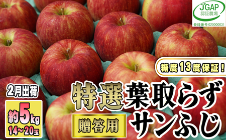 2月発送贈答用 葉取らず サンふじ 約5kg 