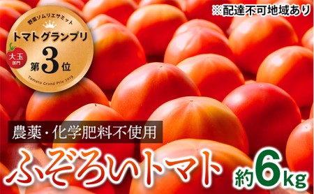 栽培期間中農薬化学肥料不使用 お得なプレミアムトマト ふぞろい約6kg