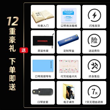 德國HOHNER進口音簧和來24孔復音口琴C調初學生專業演奏免費刻字