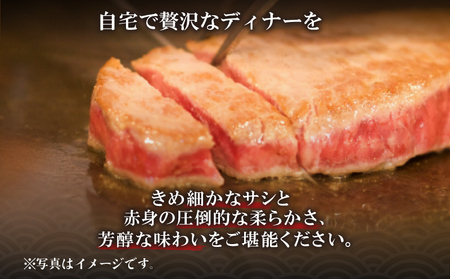 ヒレ ステーキ 3枚 セット 計 約 480g 黒毛和牛 国産牛 阿波牛 希少 部位 牛肉 ヒレ肉 ステーキ フィレ ヘレ 冷凍( 大人気ステーキ 人気ステーキ 国産ステーキ 和牛ステーキ 黒毛和牛ステーキ 阿波牛ステーキ 牛肉ステーキ 徳島県産ステーキ 徳島県ステーキ 絶品ステーキ 冷凍ステーキ ステーキ 大人気ヒレステーキ 人気ヒレステーキ 絶品ヒレステーキ 冷凍ヒレステーキ