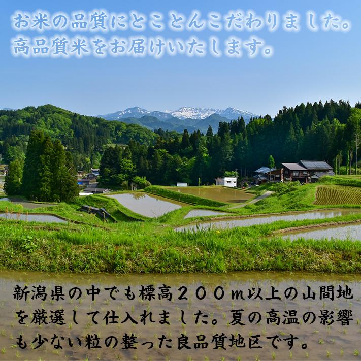 新米 令和5年 お米 10kg  送料無料 新潟県産 コシヒカリ 白米 10kg （5kg×2袋）｜ 米 おこめ お米 10kg 白米 送料無料 ｜ LINE友達登録で5%OFFクーポン