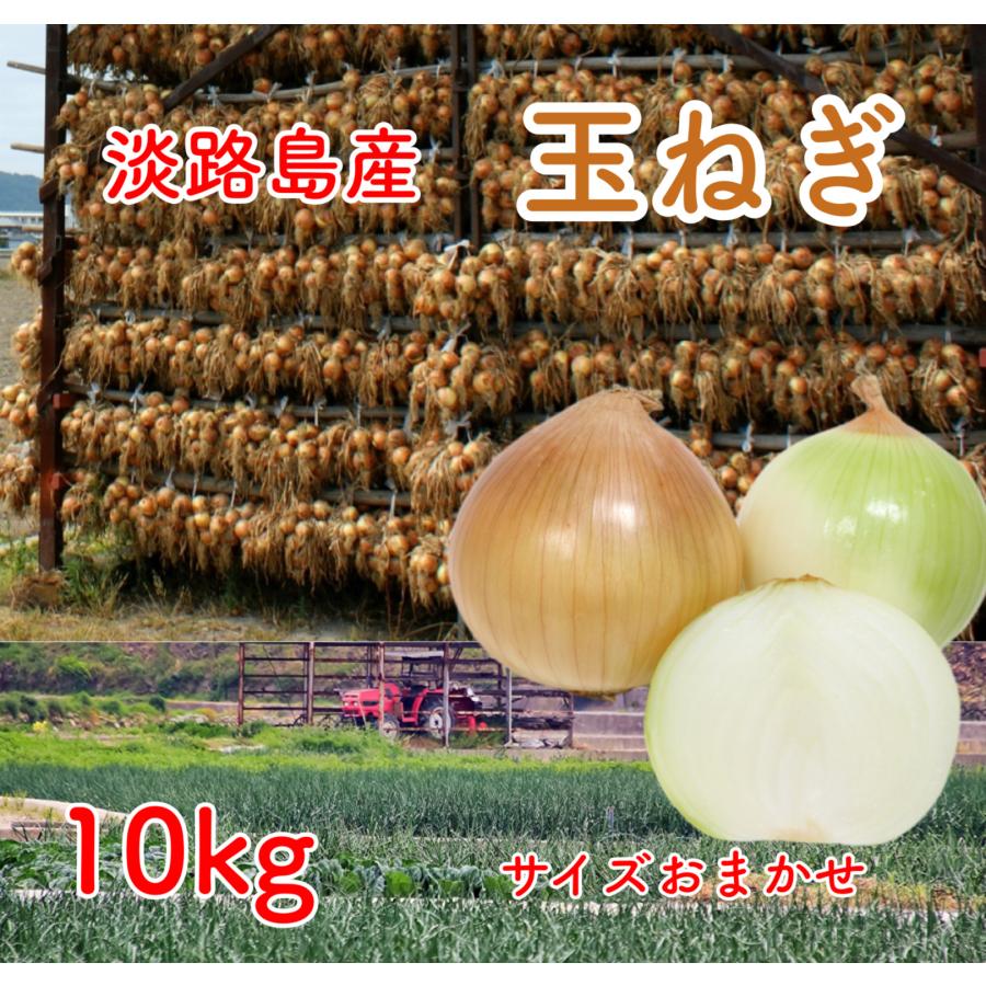 淡路島産 玉ねぎ 10ｋｇ 兵庫県産 たまねぎ 玉葱 タマネギ 常備野菜