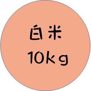 白米　１０ｋｇ