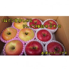 贅沢食べ比べセット　サンふじ旬のりんご詰め合わせ　約3kg(7～11個)ギフト用
