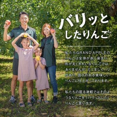 ふるさと納税 藤崎町 「王」がついたりんご「王林」特A　ご家庭用　約3kg