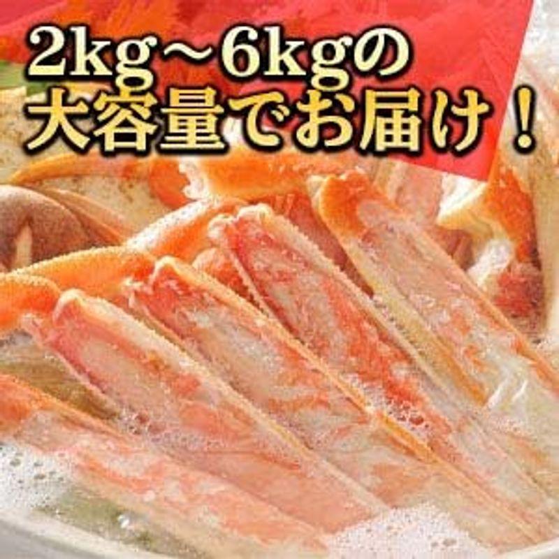 ズワイガニ 生冷肩付き脚(1.5kg) 4肩?5肩 6L活〆 本ズワイガニ 特大 6L 生冷凍 本ズワイガニ 極太 肩付き脚 お刺身 カニし