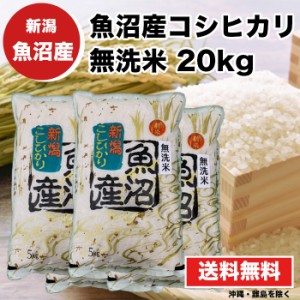 魚沼産コシヒカリ 20kg 5kg×4 無洗米 令和4年産 送料無料 新潟県 お米 最安値