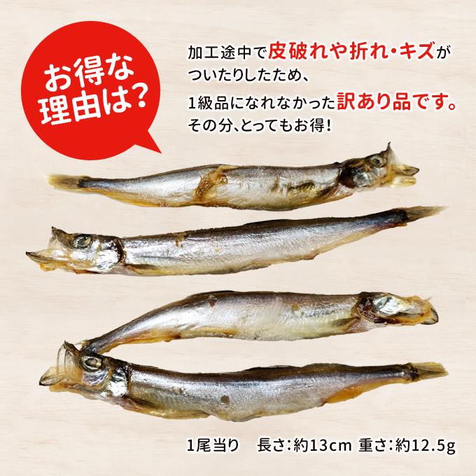 訳あり子持ちししゃも 450g 送料無料