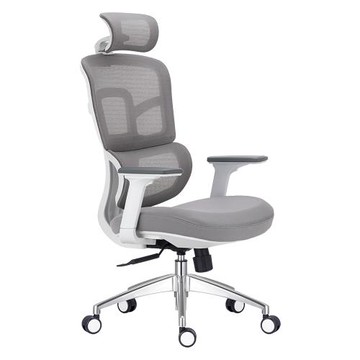 Boden-德克拉白色網布電腦辦公椅/主管椅/人體工學椅/電競椅-舒適腰靠