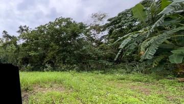 【專】花蓮秀林加灣低總價原農地~袋地 B1023｜花蓮縣秀林鄉加灣