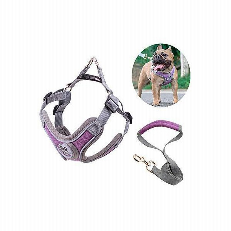 D Yao 犬 ハーネス 大型犬 夜間反射安心散歩 犬 リード ハーネス 引っ張り防止胴輪 負担が少ない首輪 大型犬用 ハーネス 犬ハーネスセット 一 通販 Lineポイント最大0 5 Get Lineショッピング