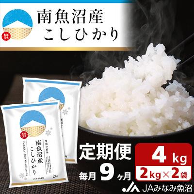 ふるさと納税 南魚沼市 南魚沼産こしひかり 精米 4kg(2kg×2袋)全9回