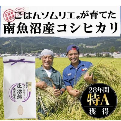 ふるさと納税 南魚沼市 令和5年産 5kg×2 ごはんソムリエの南魚沼産コシヒカリ『庄治郎』100%塩沢産