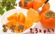 和歌山の富有柿 約7.5kg（ご家庭用）　※2023年10月下旬～11月下旬頃に順次発送予定　※沖縄地域へのお届け不可