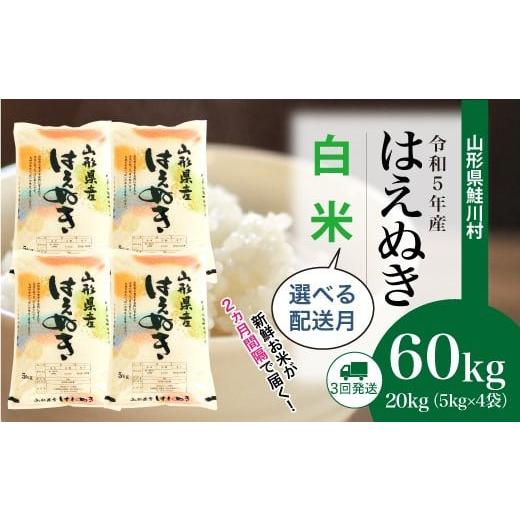 ＜令和5年産＞ 鮭川村産 はえぬき  定期便 60kg （20kg×２ヶ月間隔で3回お届け）