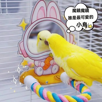🔥免運下殺🔥【新款】鸚鵡鏡子玩具 鸚鵡趣味鏡子站架 鸚鵡鏡子 牡丹玄鳳虎皮解悶自嗨站桿 防抑鬱小鳥站立架 排憂解悶 鏡子
