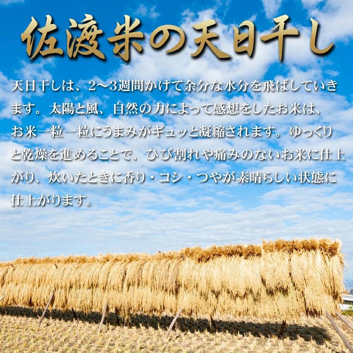 新米 令和５年 米 お米 20kg コシヒカリ 玄米 20kg 送料無料 新潟県佐渡産天日干 コシヒカリ  ｜ 玄米 米 お米 20kg 送料無料