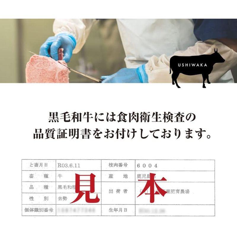 牛若400g 鹿児島特選A5黒毛和牛サーロインステーキ (3~4名様用 2枚入り) 九州精肉工場 ギフト サーロイン