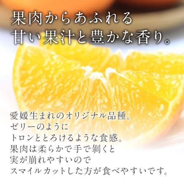 紅まどんな 贈答用 青秀 愛媛県産 みかん お歳暮 3Lサイズ 3玉 900g 送料無料