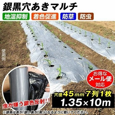 農業用マルチシート 農ポリ 銀黒穴あきマルチ 2列60 0 95 10m 1枚 少量 使い切り 農用 マルチング 被覆資材 ポリエチレン 国華園 通販 Lineポイント最大get Lineショッピング